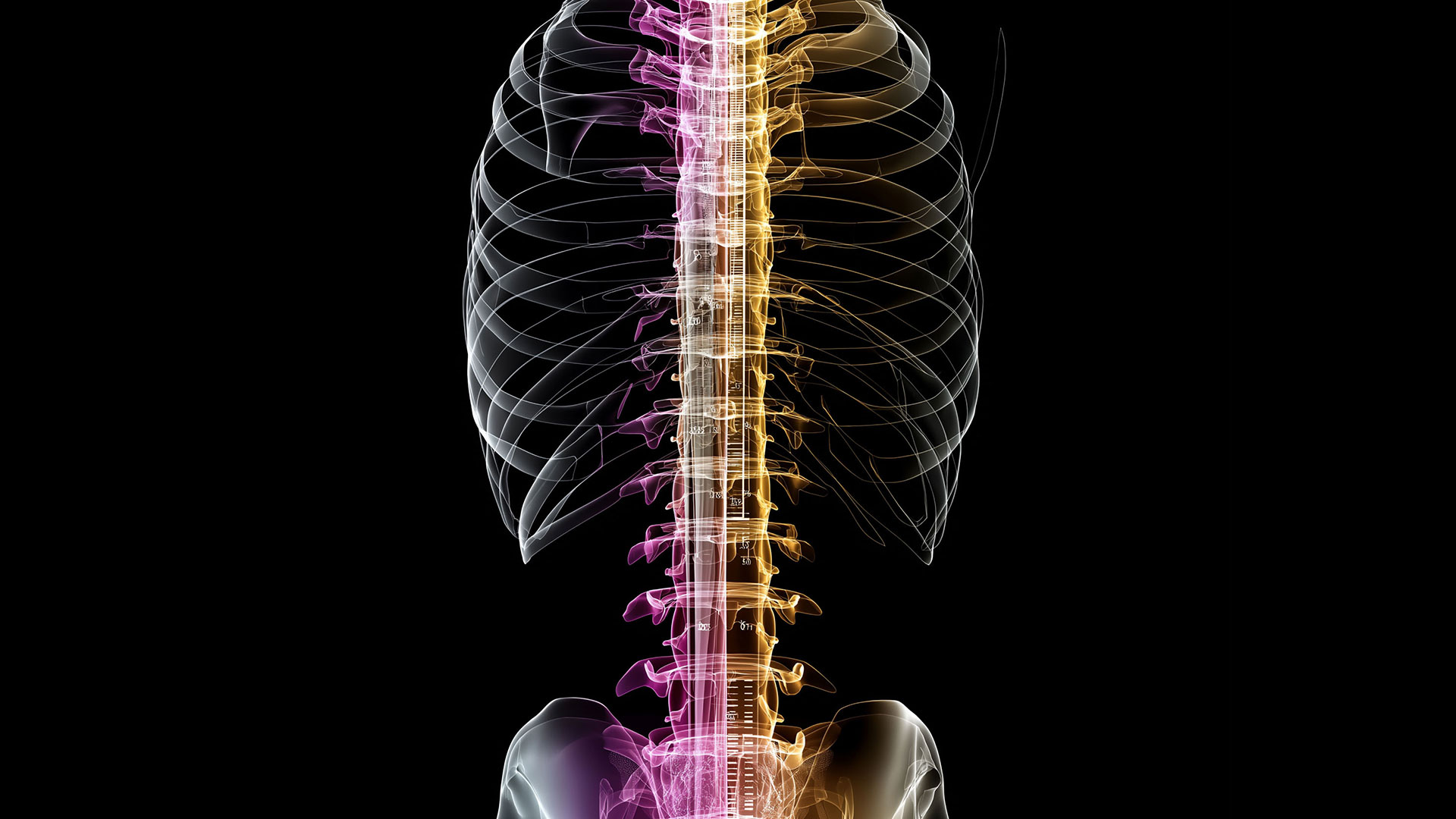 Gainage Postural